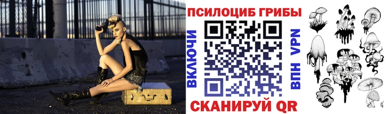 Галлюциногенные грибы Psilocybe Усть-Джегута