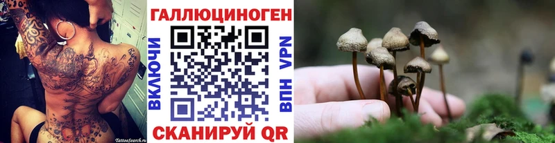 Псилоцибиновые грибы Psilocybe  Усть-Джегута 