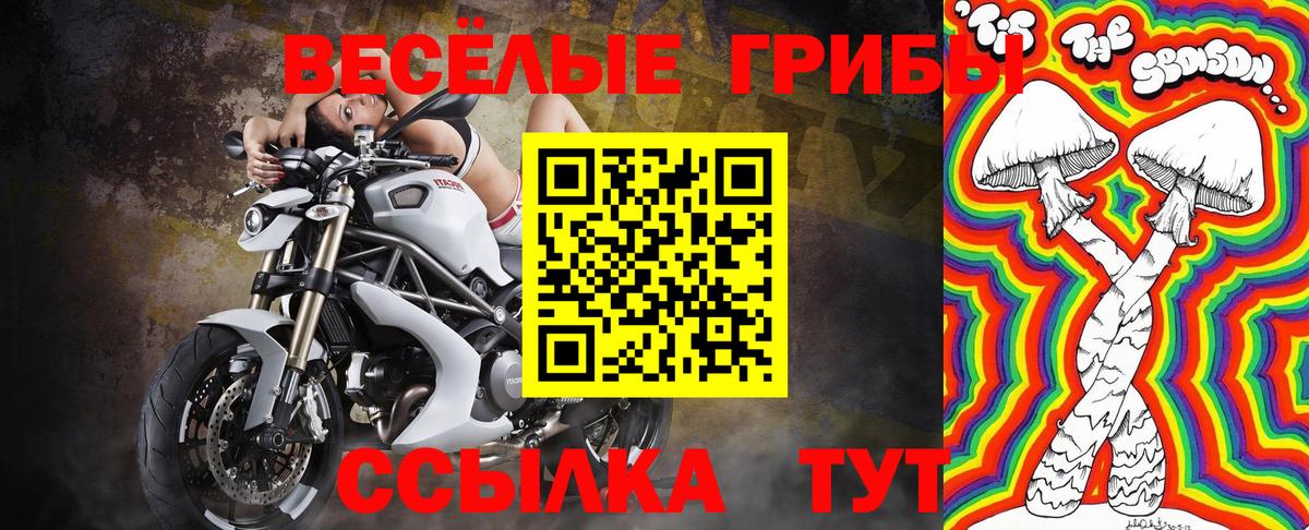 Усть-Джегута  закладка  Вход с VPN  Псилоцибиновые грибы мухоморы 